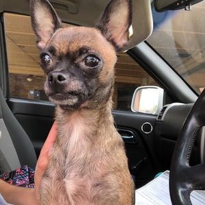 Meet your Posher, Melanie